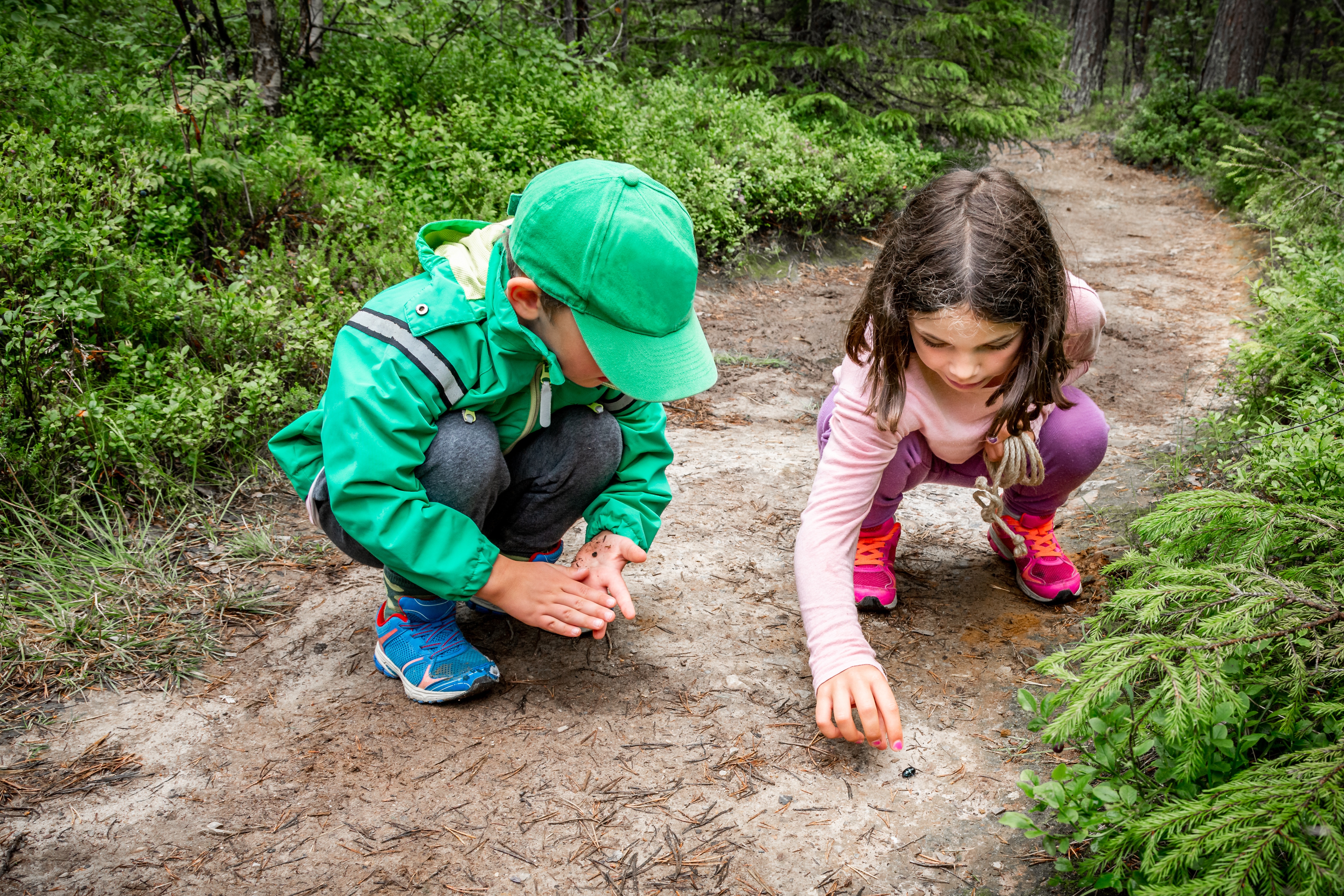 K12 stockphoto little kids explore nature bugs