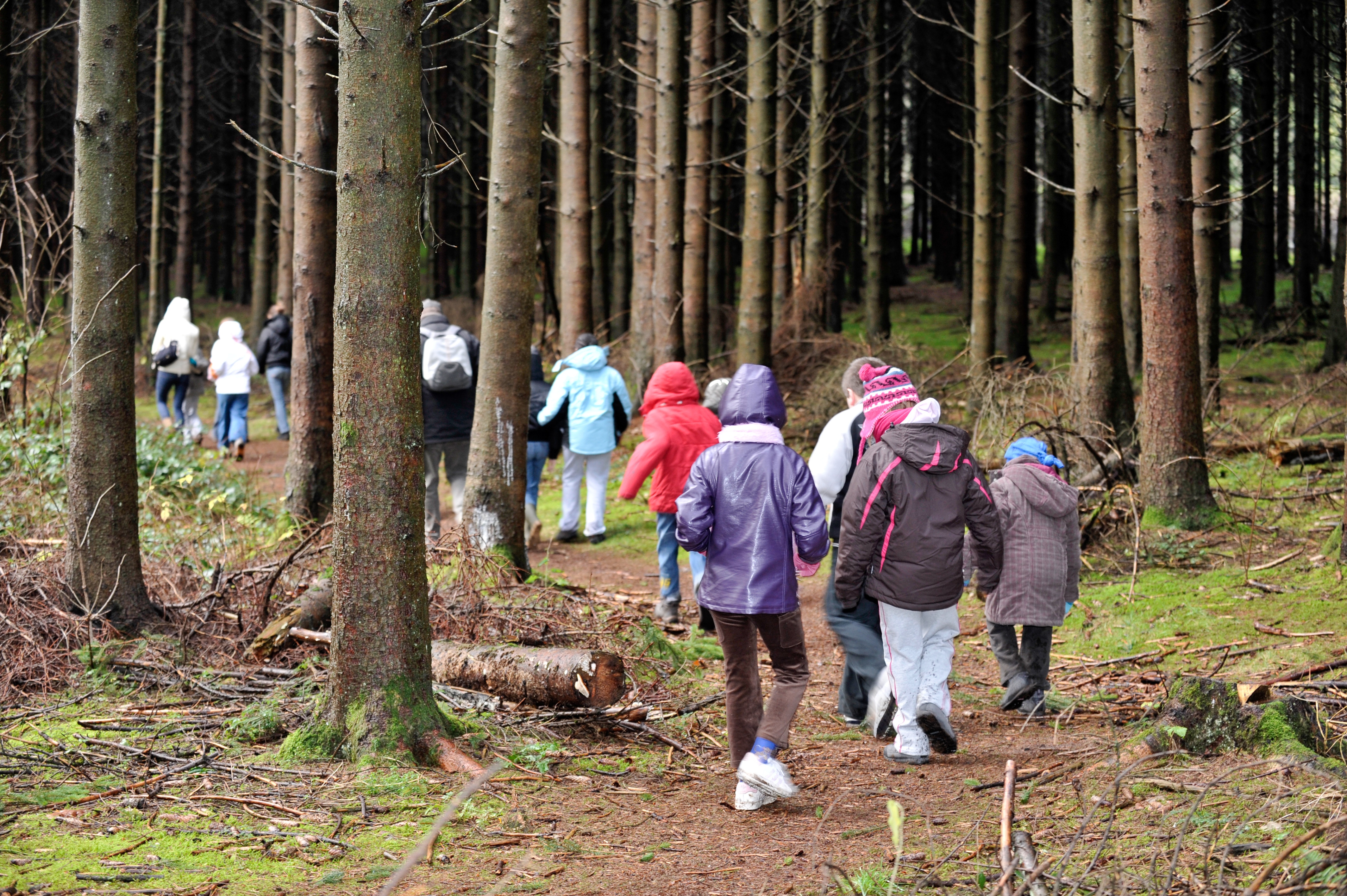 Students with jackets walking in woods