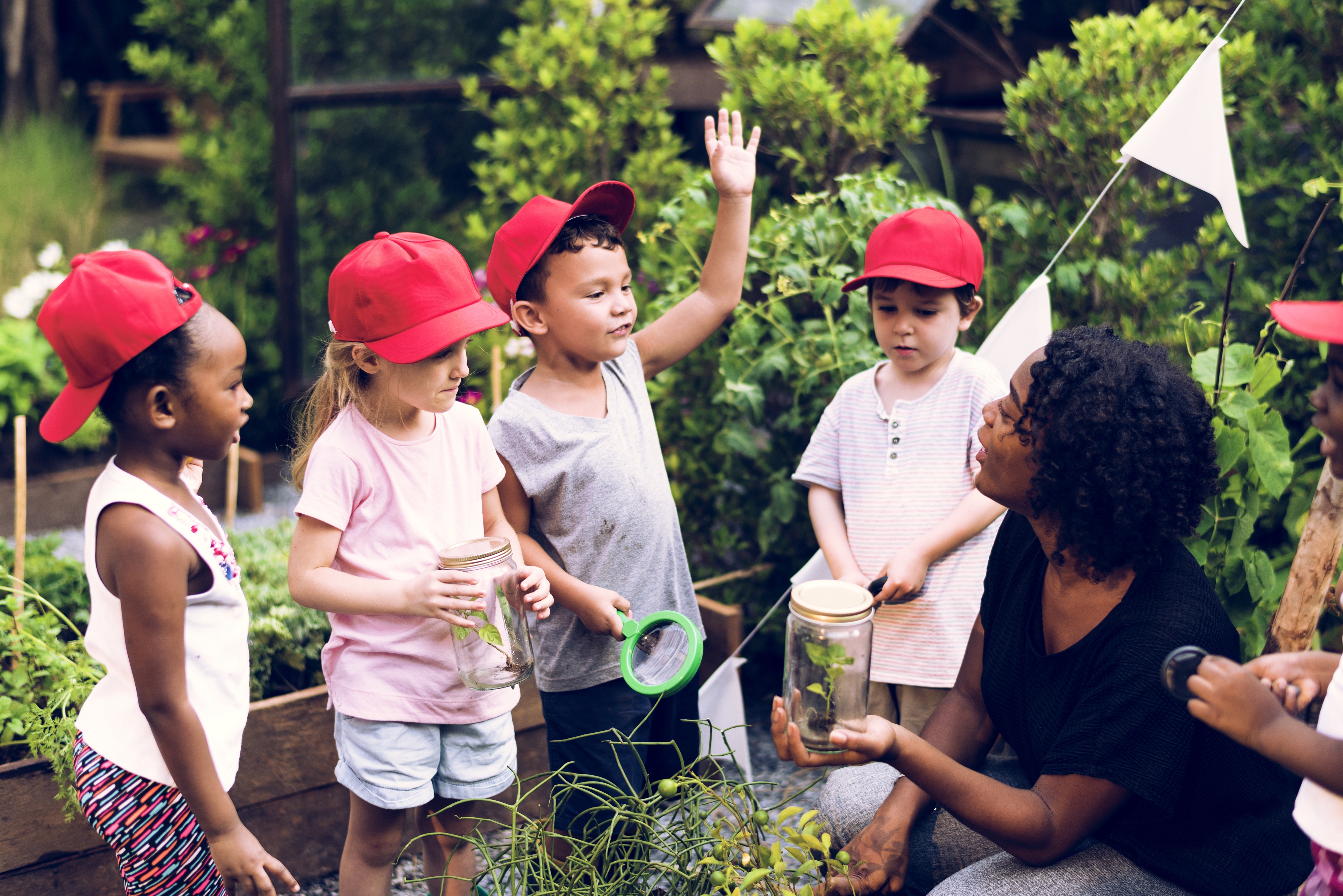 K12 stockphoto student field trip outdoor plants