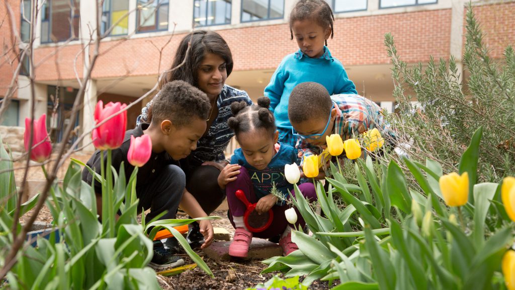 Early Years Climate Action - This Is Planet Ed